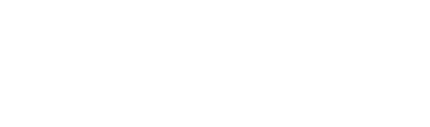 Court Kings Logo