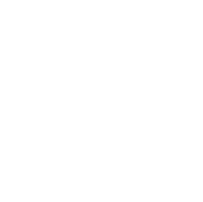 Google Partner Logo