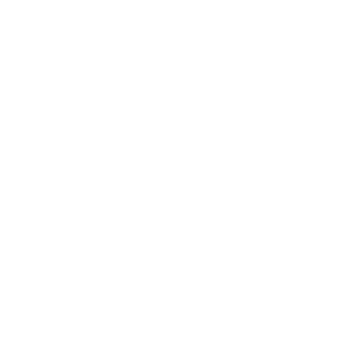 Google Race to Singapore Logo