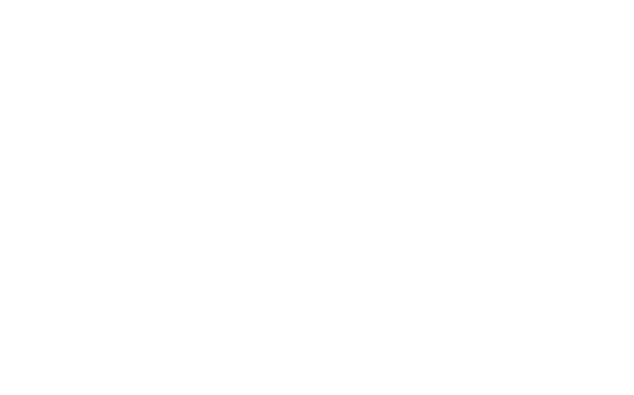 Wordpress Logo