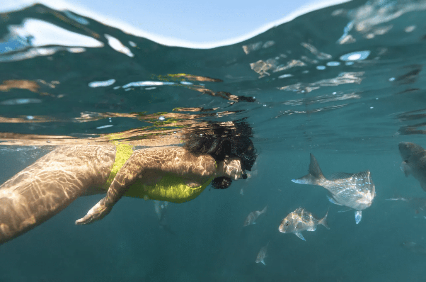 woman in yellow bikini snorkelling with fish in New Zealand
