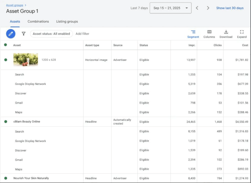 Screenshot of Google Ads reporting dashboard